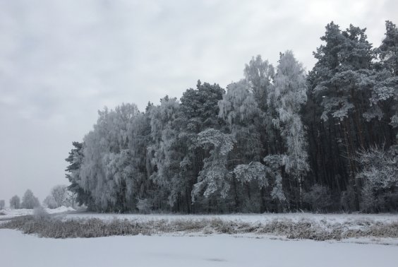 Godziny otwarcia restauracji w sezonie jesienno-zimowym