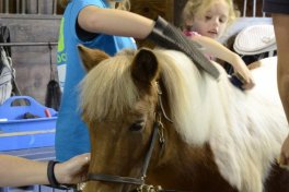 Obozy jeździeckie LATO 2014