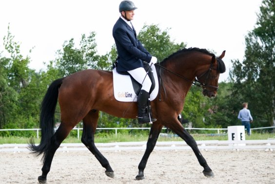 Tomek Nowakowski na Denarze