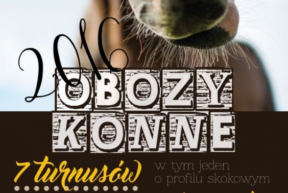 Zapisz się na letni obóz jeździecki 2016