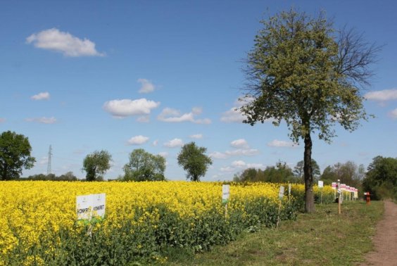 Warsztaty polowe Młodzikowo 2015