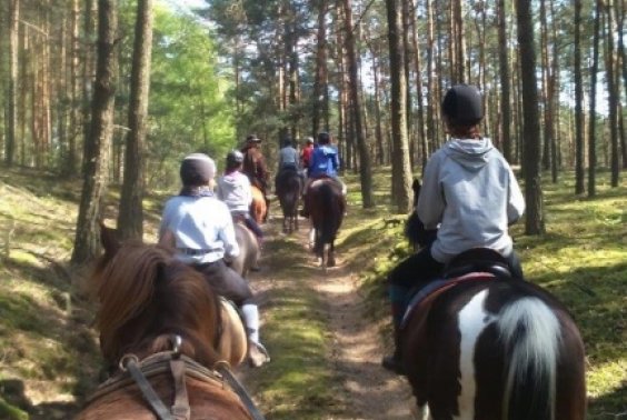 Majówkowy rajd konny 2016