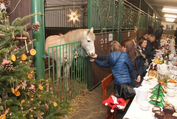 Jak wigilia - no to w stajni!