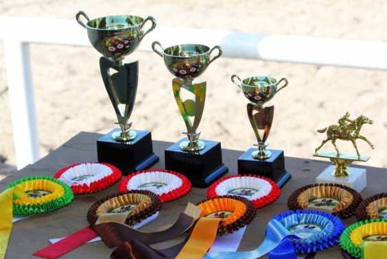 Wewnętrzne rozgrywki w skokach przez przeszkody