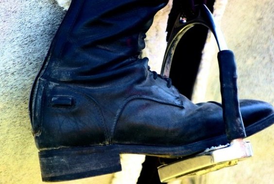 Ruszaj z kopyta! - zapisz się na obóz jeździecki!